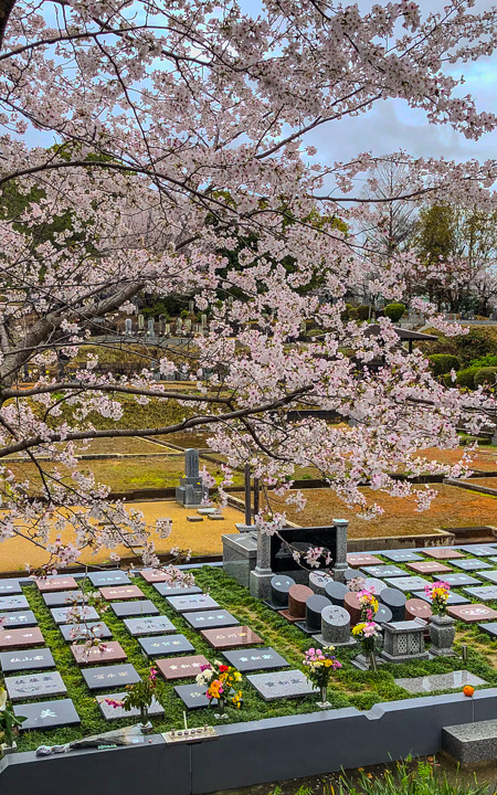樹木葬墓地